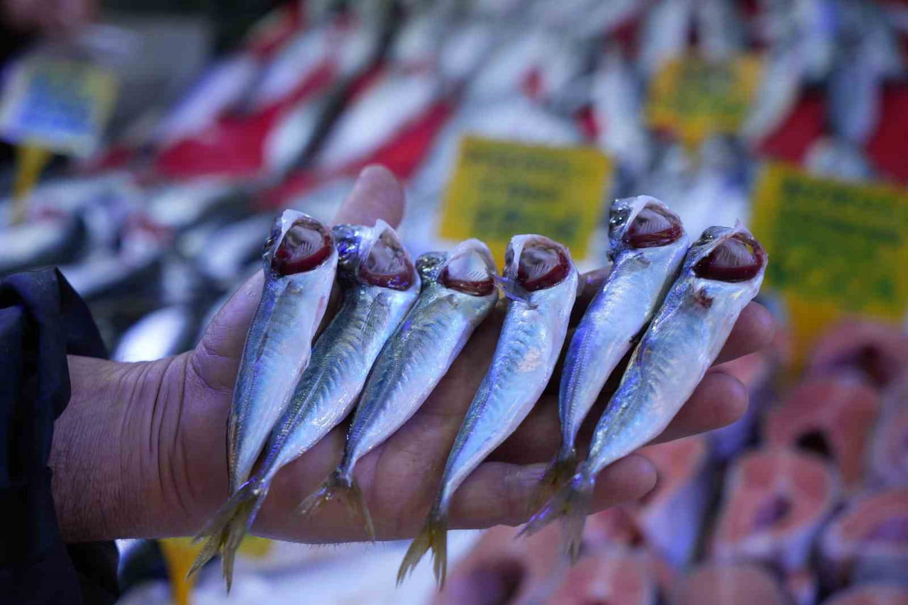 DENİZLERDE AV YASAĞININ BAŞLAMASINA SAYILI GÜNLER KALA SAMSUN’DAKİ BALIKÇI TEZGÂHLARINDA...