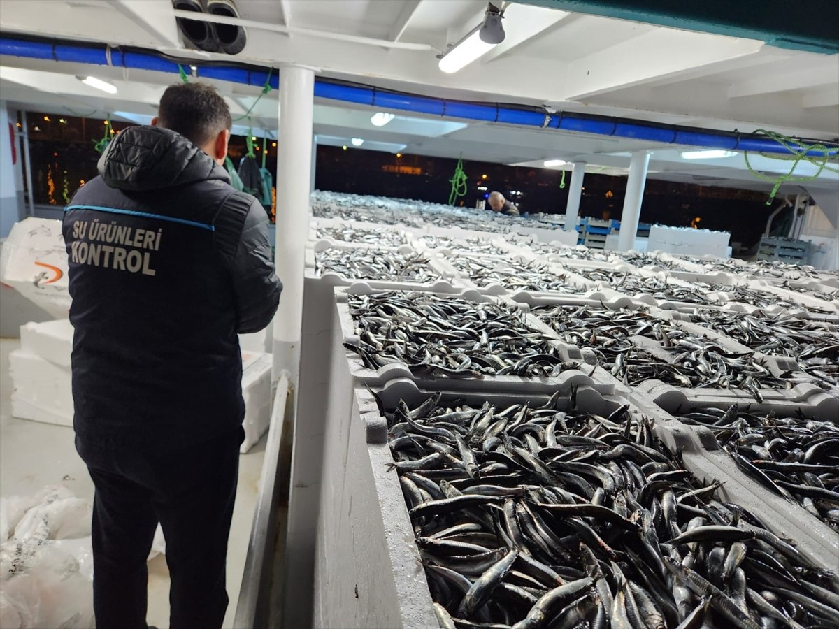 Denizlerde av yasağının sona erdiği 1 Eylül'den itibaren avlanmayı sürdüren Doğu Karadenizli...