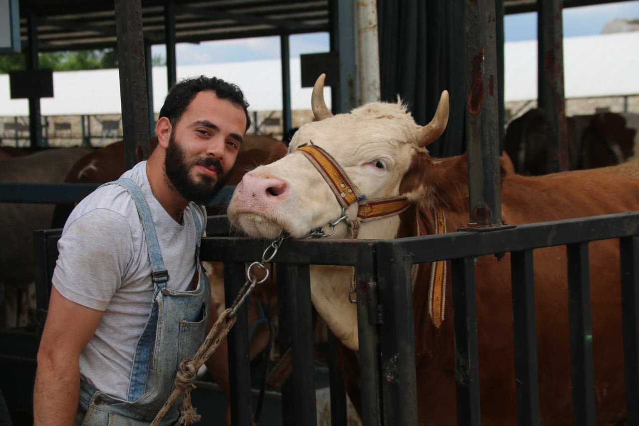 DENİZLİ TİCARET BORSASI KURBAN PAZARI, YAKLAŞAN KURBAN BAYRAMI DOLAYISIYLA HAREKETLENDİ. SIKI...