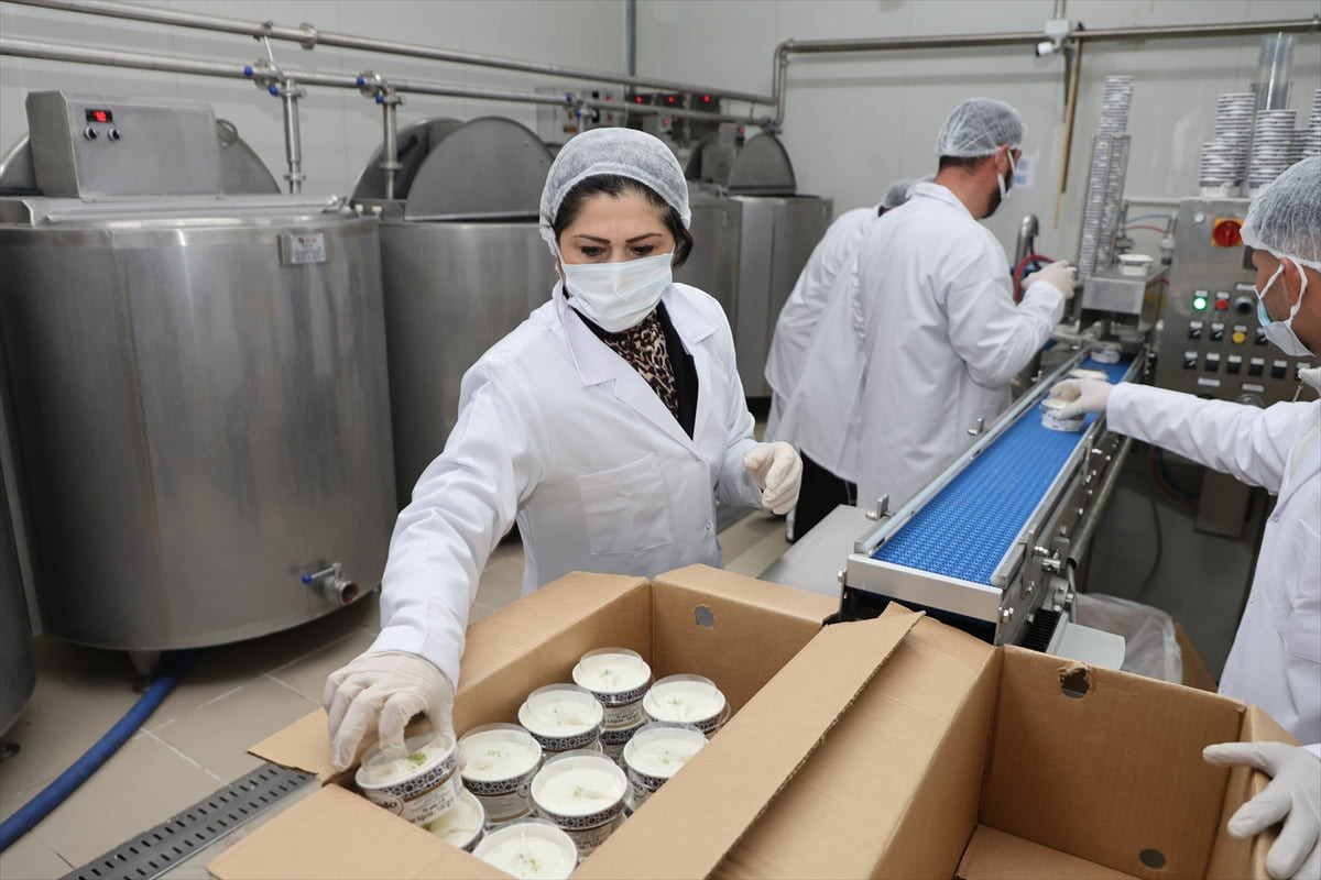 Denizli'de Küçük ve Orta Ölçekli İşletmeleri Geliştirme ve Destekleme İdaresi Başkanlığı (KOSGEB)...