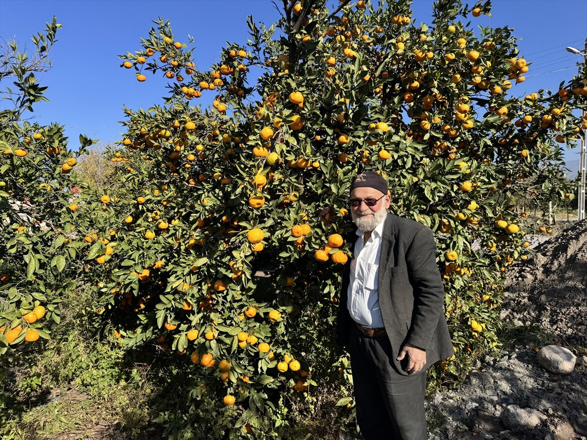 Denizli'de yaşayan ve yurt içi ve yurt dışında operasyonlara katılan askerlere elma götürmesi...