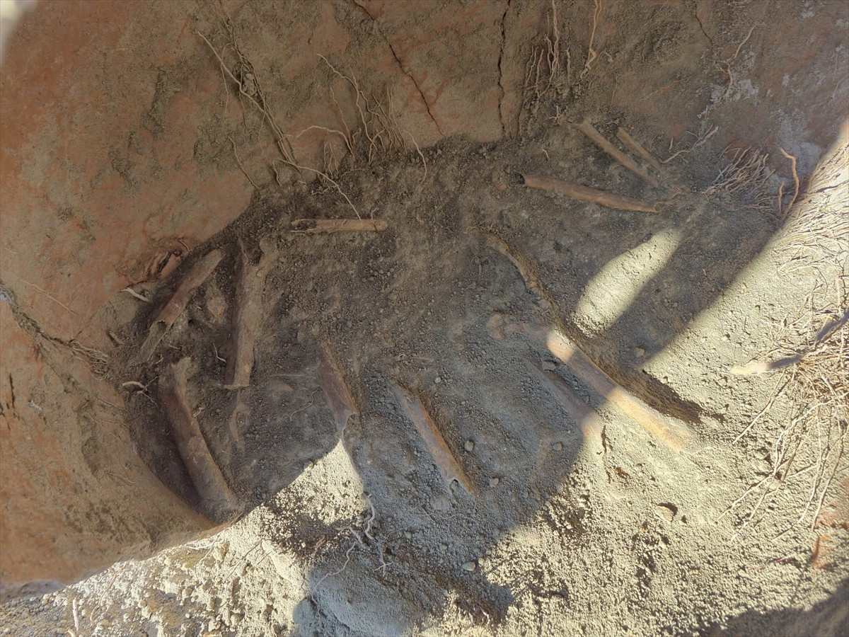 Denizli'nin Acıpayam ilçesinde, arazide su borusu döşemek için açılan çukurda insana ait olduğu...