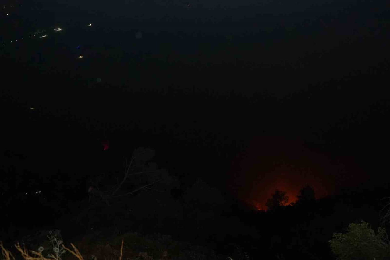 DENİZLİ'NİN PAMUKKALE İLÇESİNDE DÜNYACA ÜNLÜ TRAVERTENLERE YAKIN BÖLGEDEKİ ORMANLIK ALANDA ÇIKAN...
