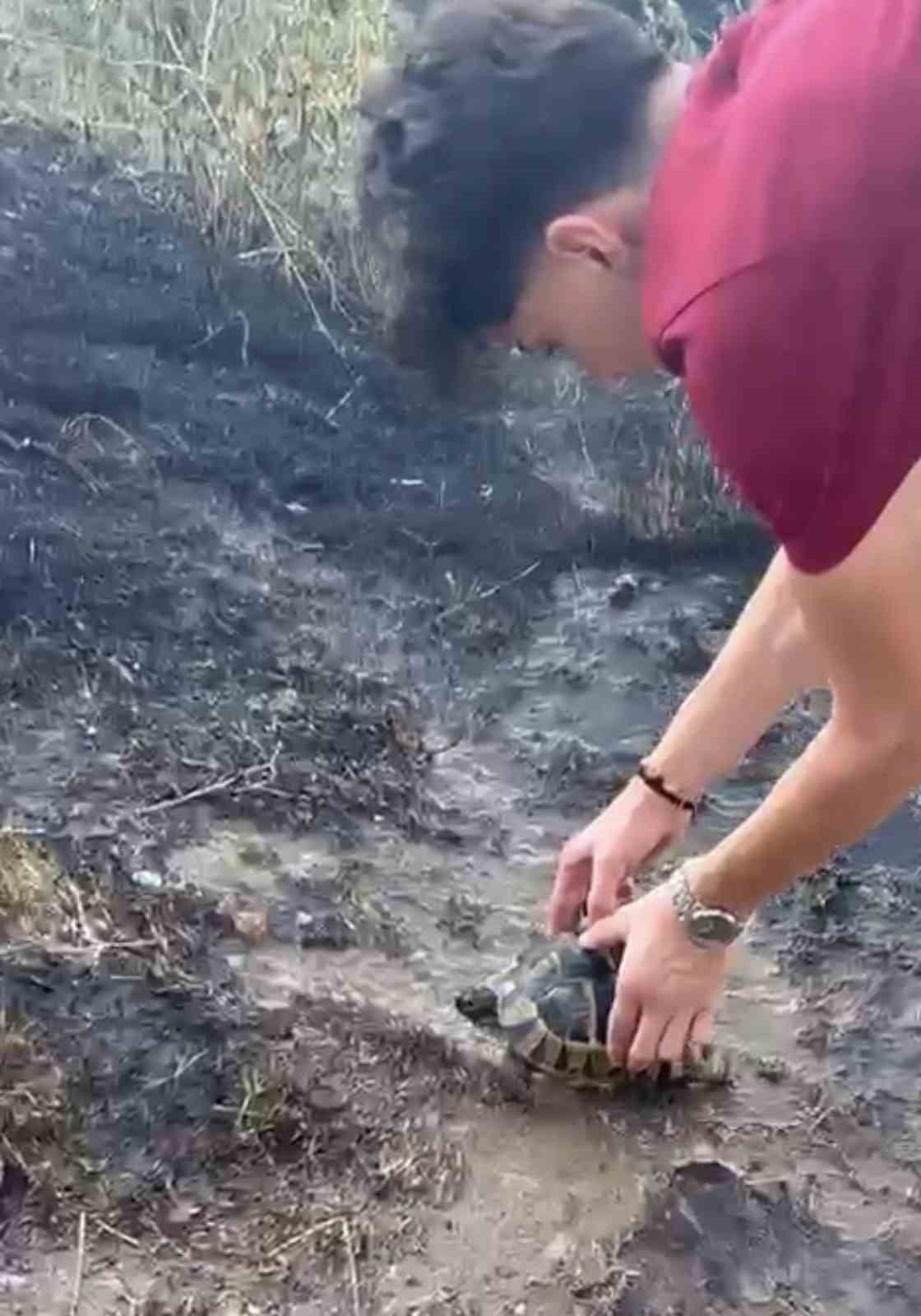 DENİZLİ'NİN PAMUKKALE İLÇESİNDE YERLEŞİM ALANINA YAKIN OTLUK ALANDA ÇIKAN YANGINDA, ALEVLERİN...