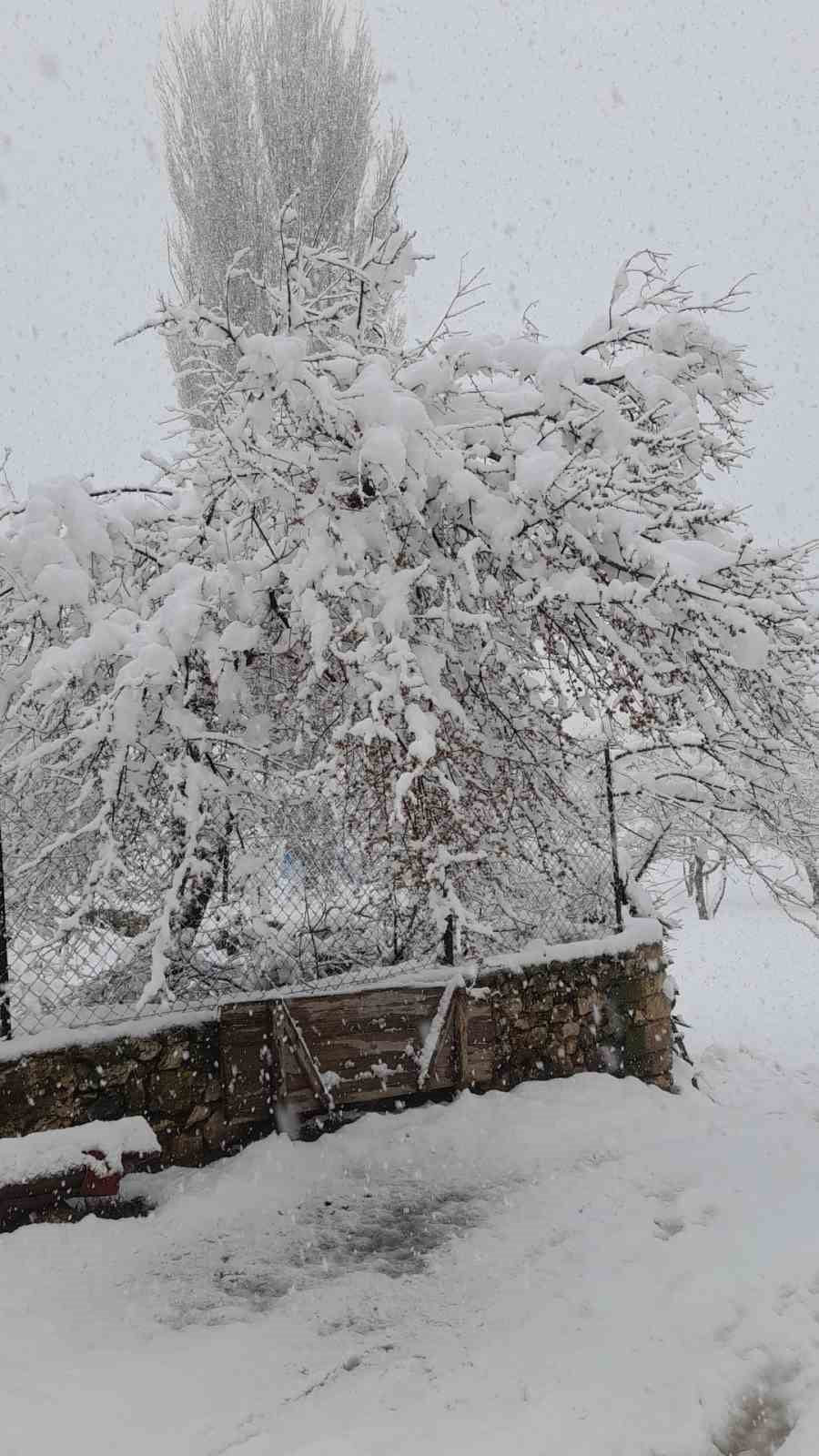 DENİZLİ’DE ETKİLİ OLAN SOĞUK VE YAĞIŞLI HAVA, YÜKSEK RAKIMLI BÖLGELERDE KAR YAĞIŞINI BERABERİNDE...