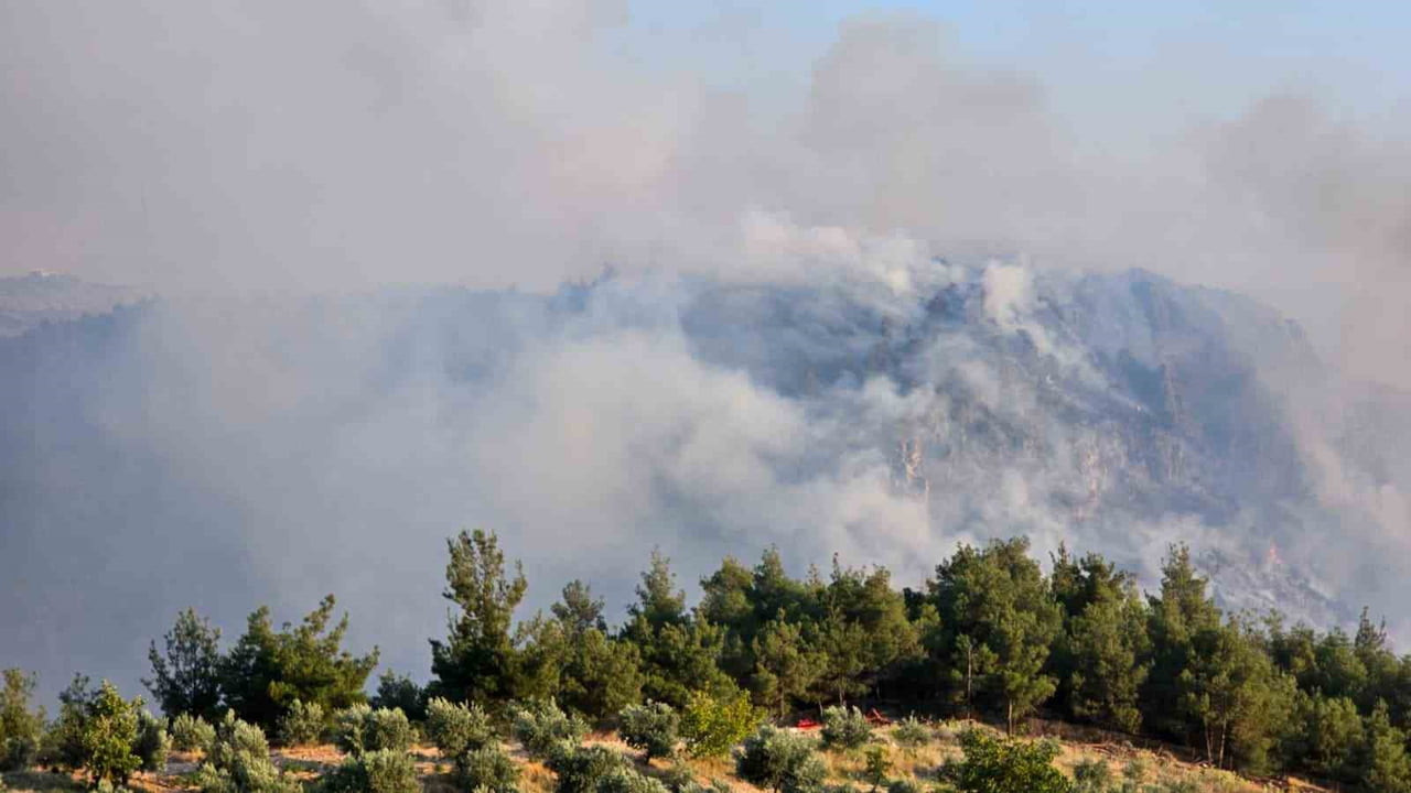 DENİZLİ’NİN PAMUKKALE İLÇESİNDE DÜNYACA ÜNLÜ TRAVERTENLERE YAKIN BÖLGEDEKİ ORMANLIK ALANDA ÇIKAN...