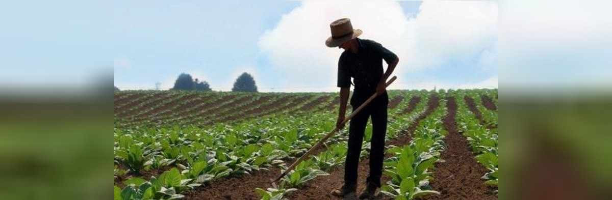 devlet tarım desteği