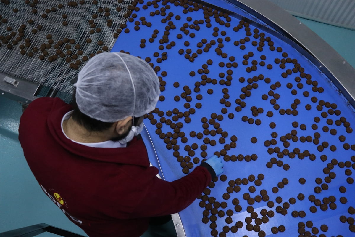  Devletten yaklaşık 200 milyon lira yatırım teşviki ile Kayseri'de 500 milyon liralık glütensiz...