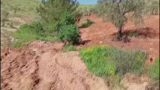 Devrilen traktörün altında kalıp can verdi