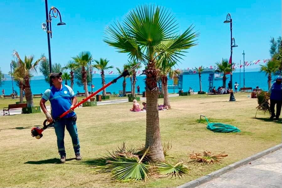 DİDİM BELEDİYESİ EKİPLERİ TARAFINDAN KENT GENELİNDE BAKIM, TEMİZLİK VE DÜZENLEME ÇALIŞMALARI...