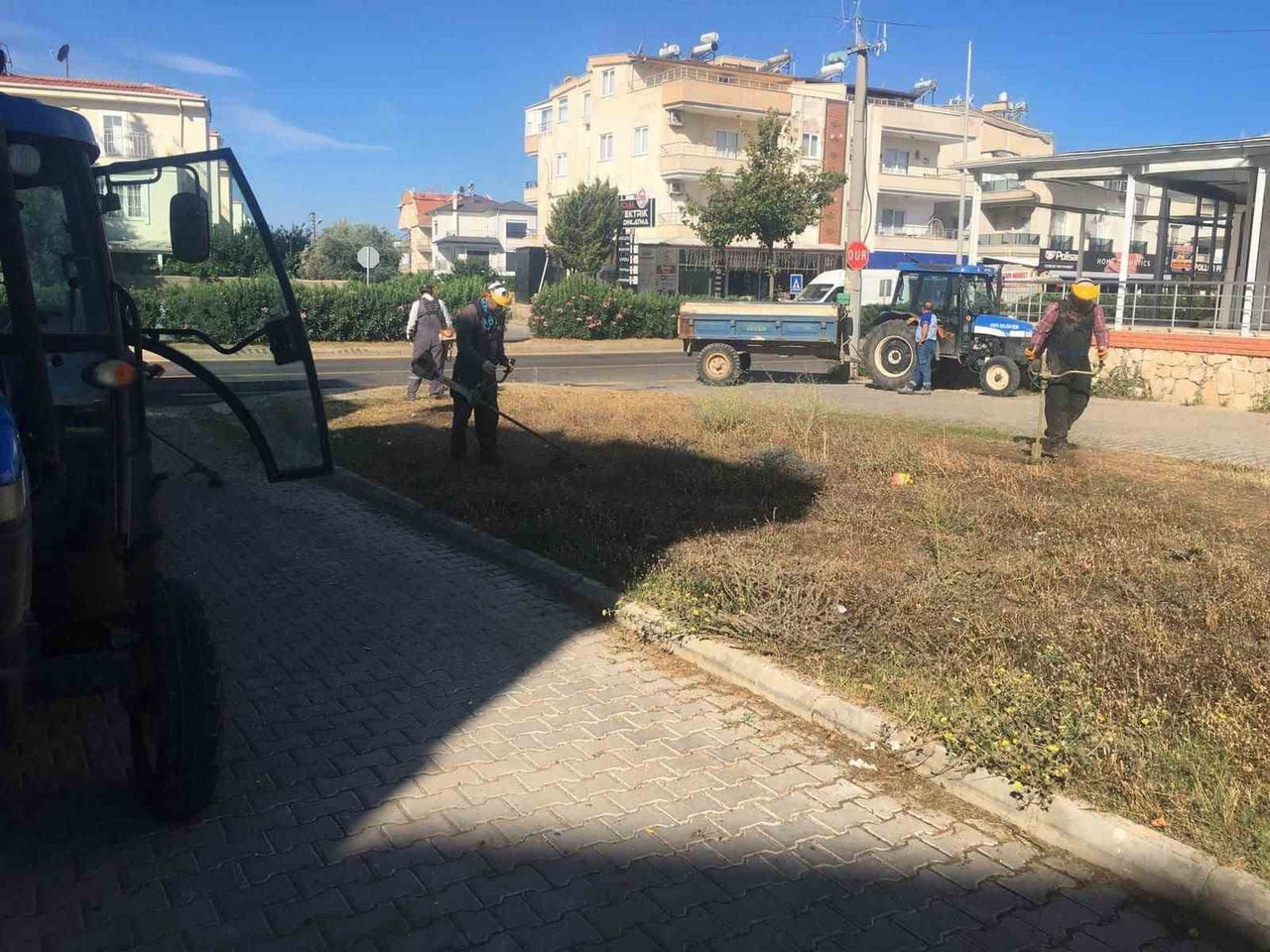 DİDİM BELEDİYESİ, KENT GENELİNDE ÇİM BİÇME, OT TEMİZLİĞİ VE AĞAÇ BUDAMA ÇALIŞMALARINA DEVAM...