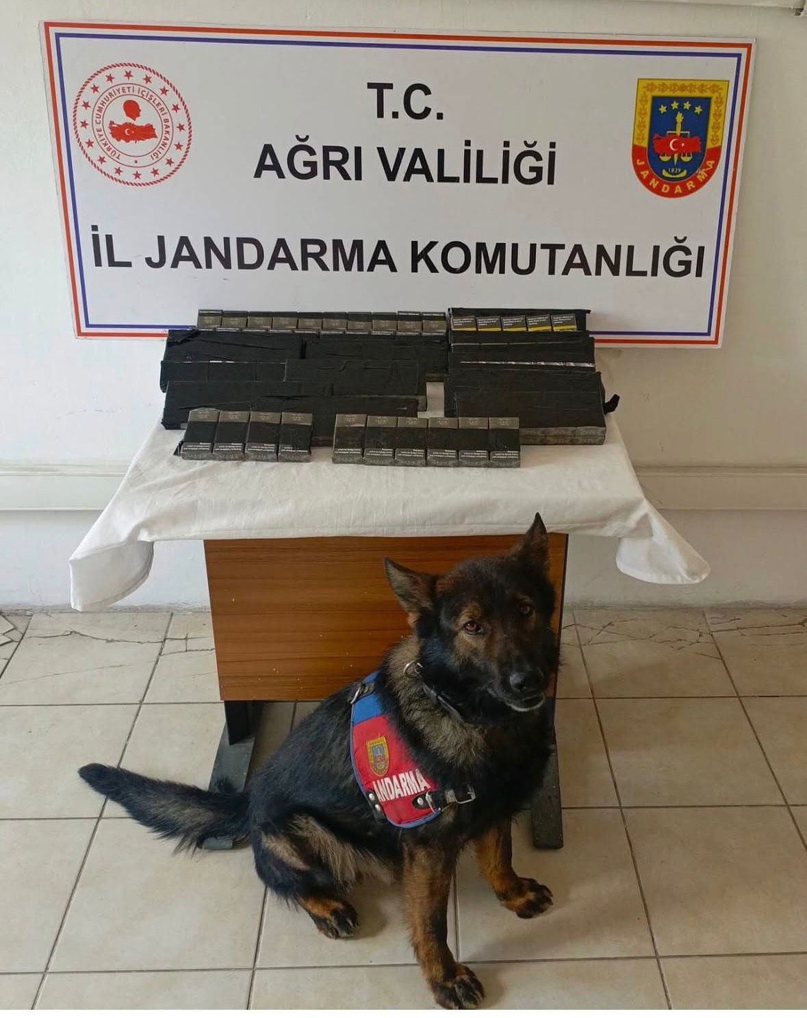 DİYADİN'DE 180 PAKET KAÇAK SİGARA YAKALANDI