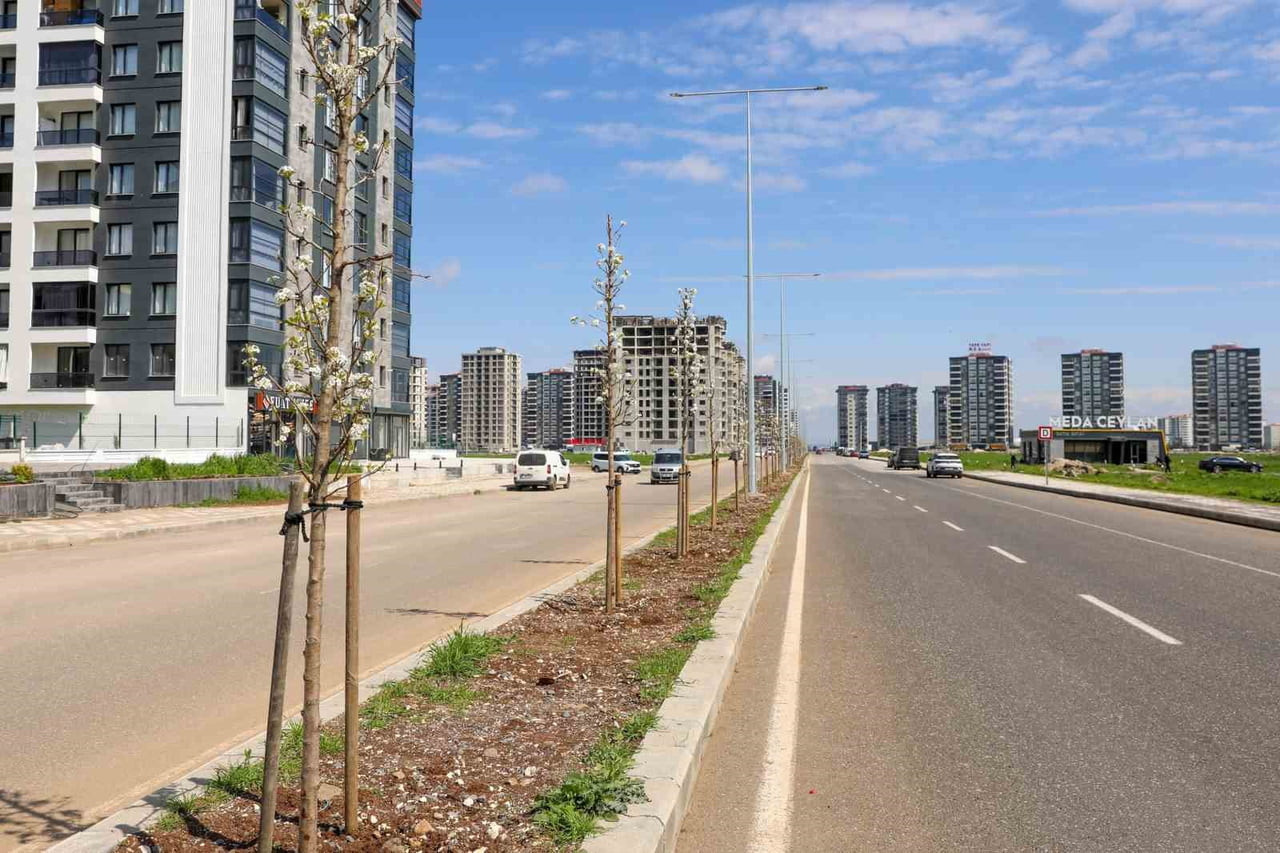 DİYARBAKIR BÜYÜKŞEHİR BELEDİYESİ, SU TÜKETİMİNİ AZALTARAK BİTKİ ÜRETİMİYLE EKOLOJİK YEŞİL ALANLAR...