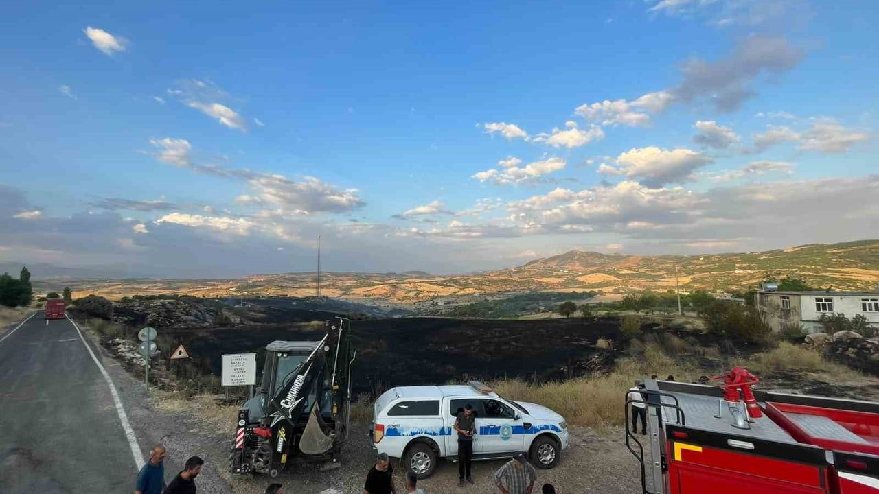 Diyarbakır Lice'de zirai ve ormanlık alanda yangın kontrol altına alındı