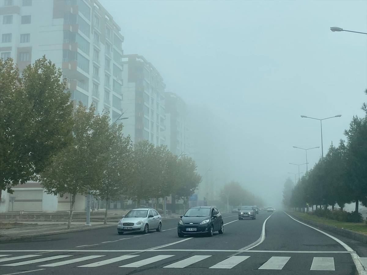 Diyarbakır'da etkili olan sis görüş mesafesini düşürdü.