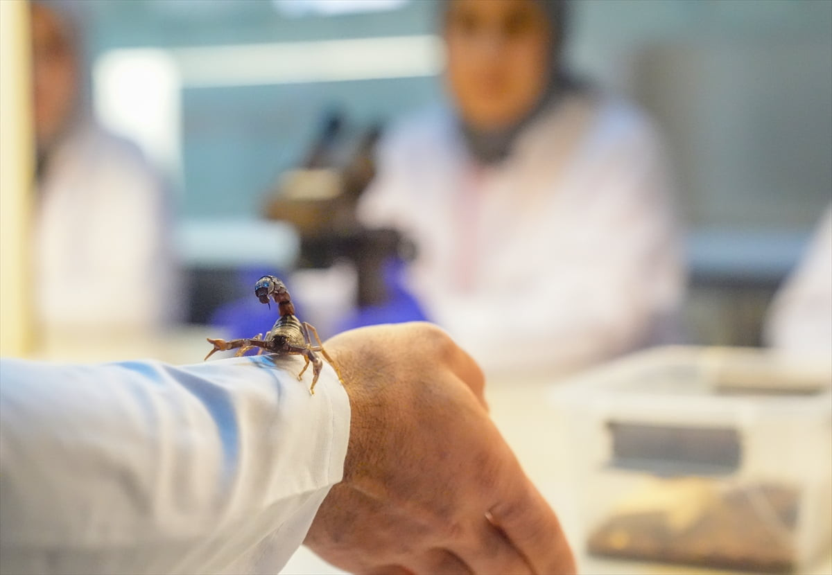 Diyarbakır'da kurduğu tesiste akrep üretimi yapan Abdullah Fidanten, Dicle Üniversitesi (DÜ) Fen...
