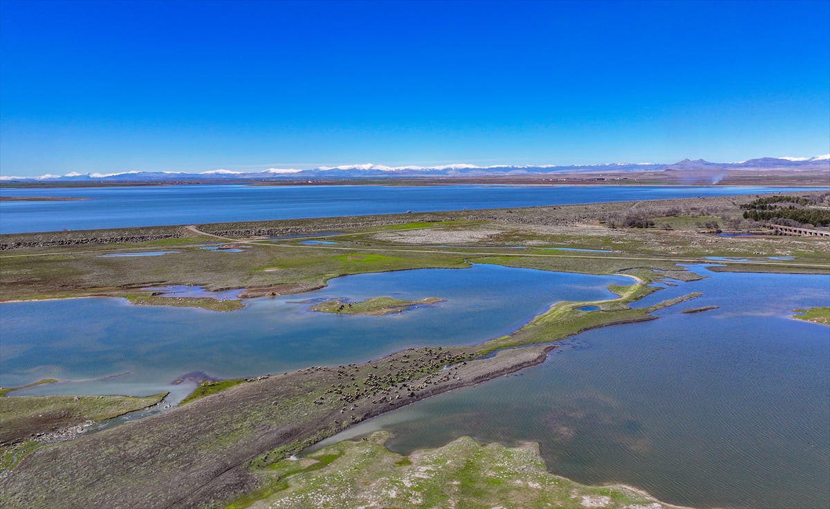 Diyarbakır'da son yıllarda yağış azlığı ve sıcakların etkisiyle kuruma noktasına gelen Devegeçidi...
