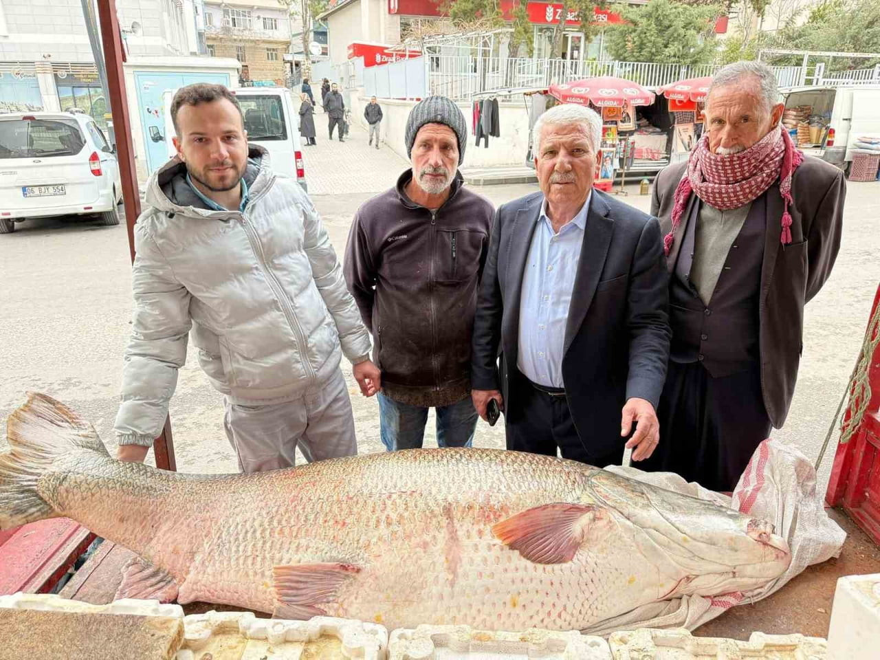 DİYARBAKIR'IN ÇERMİK İLÇESİNDE BALIKÇILAR TARAFINDAN YAKALANAN 120 KİLOLUK DEV TURNA BALIĞI...