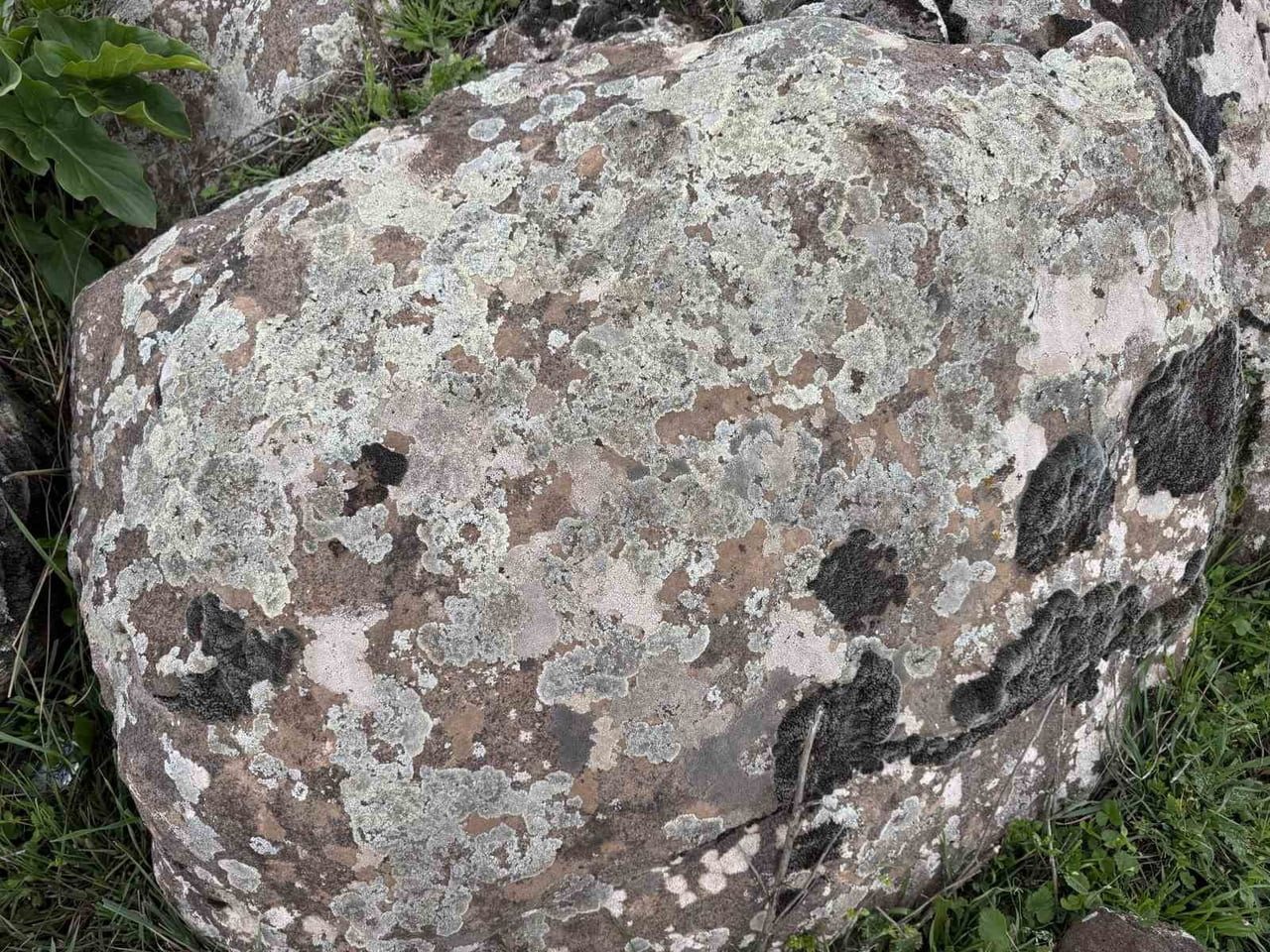 DİYARBAKIR'IN ÇERMİK İLÇESİNDE VATANDAŞLAR, YAĞIŞLA BİRLİKTE TAŞLAR ÜZERİNDE MEYDANA GELEN YOSUNSU...