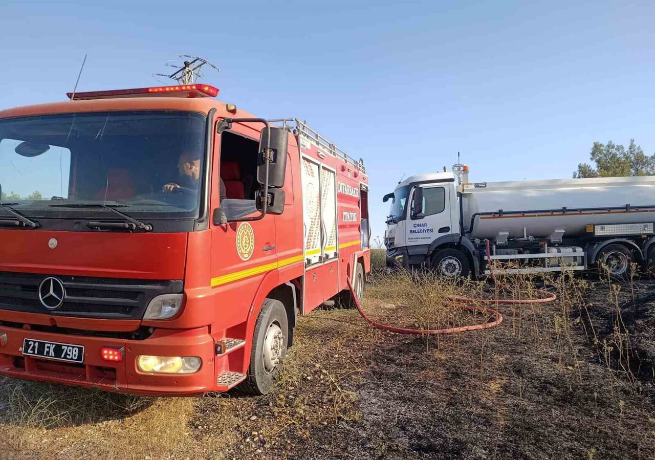 DİYARBAKIR'IN ÇINAR İLÇESİNDE MEYDANA GELEN ANIZ VE ÖRTÜ YANGININDA DİREKTE BULUNAN İKİ LEYLEK...
