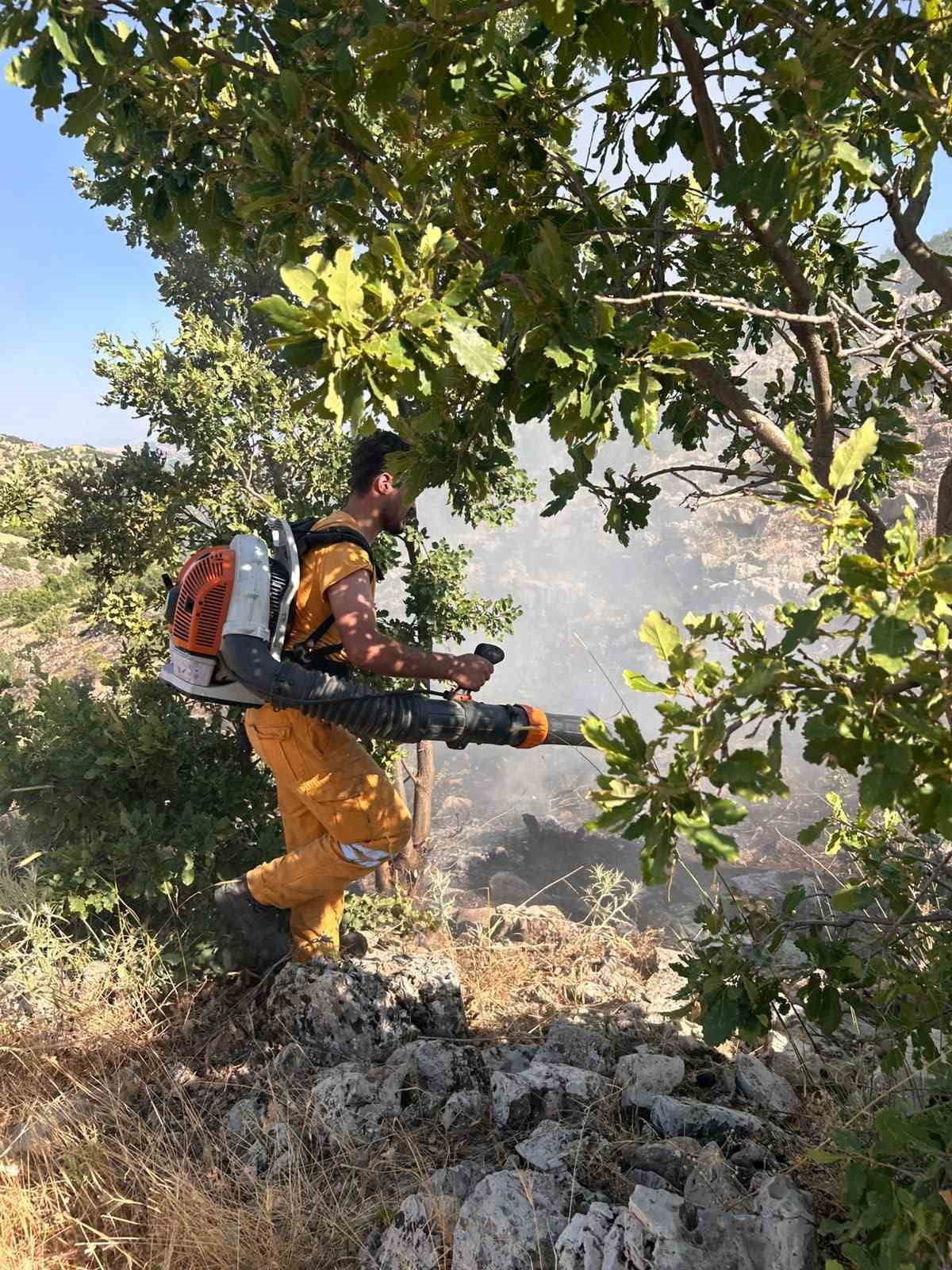 DİYARBAKIR'IN HAZRO İLÇESİNDE 15 DÖNÜME YAKIN ORMANLIK ALAN YANGINDA ZARAR GÖRDÜ