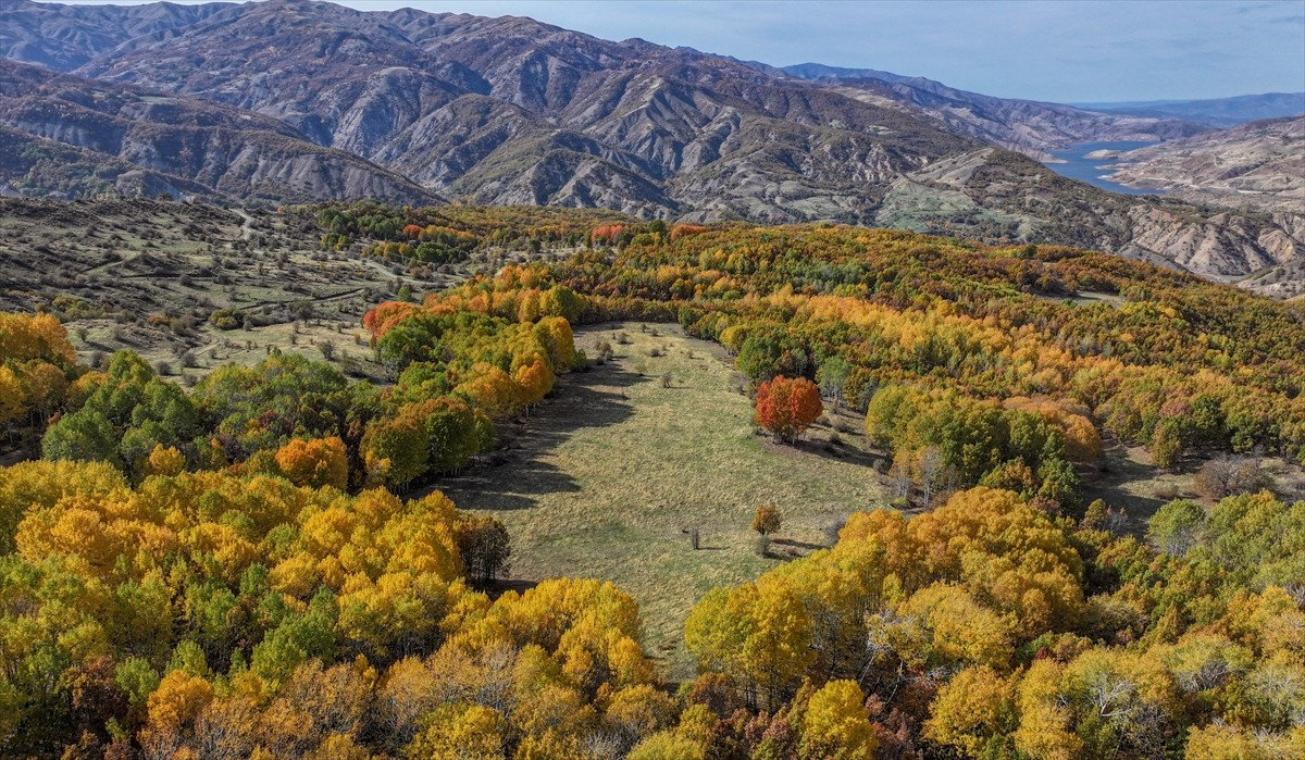 Diyarbakır'ın Kulp ilçesinin Muş sınırında bulunan Andok Dağı ile yaylalarda hakim olan sonbahar...