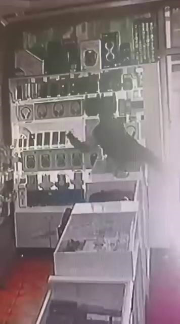 DİYARBAKIR’DA BİR ÇOCUK, GİRDİĞİ TELEFONCU DÜKKANINDA, MASANIN ÜZERİNE ÇIKIP VİTRİNDE BULUNAN 2...