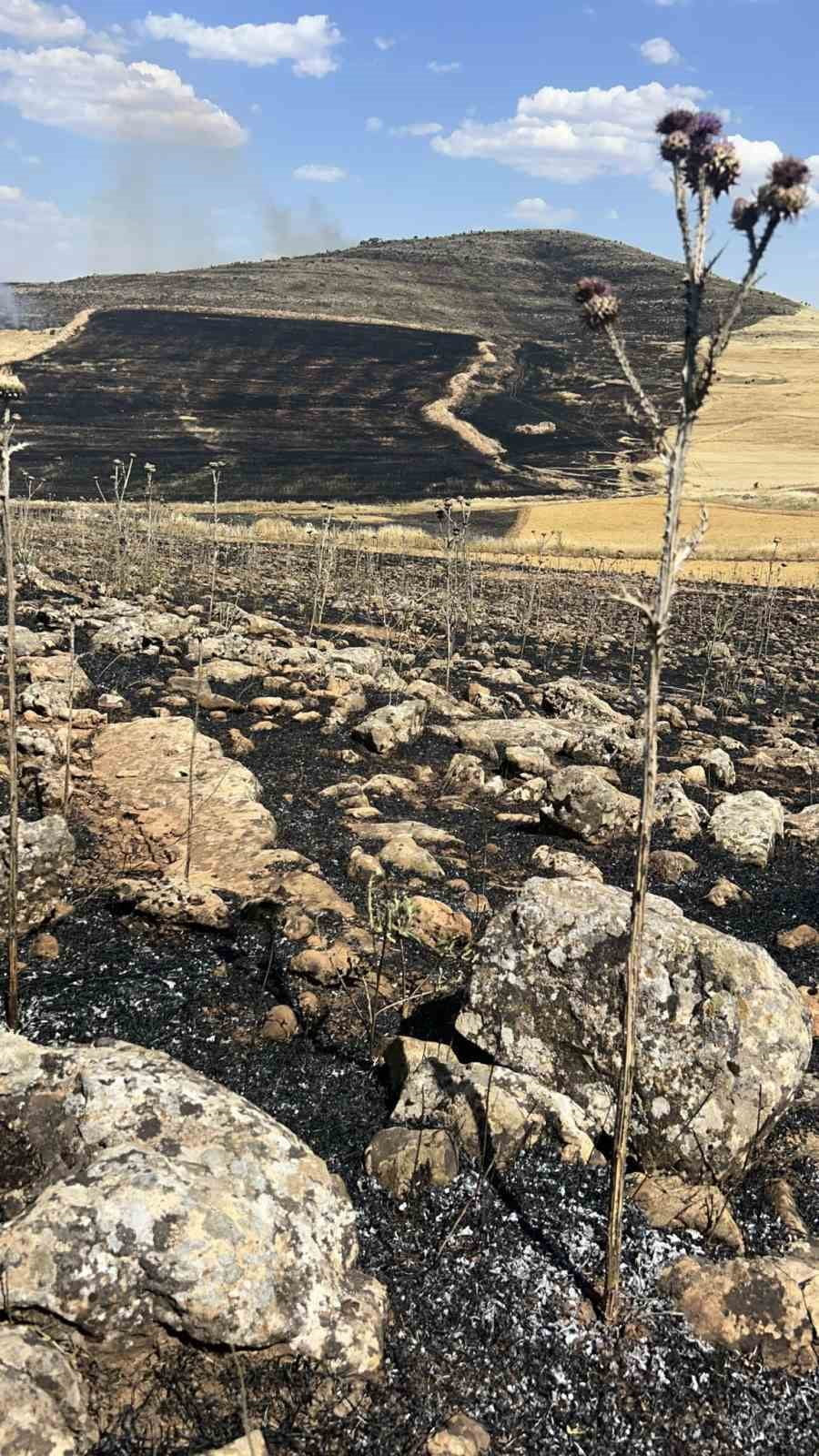 DİYARBAKIR’IN ÇINAR İLÇESİNDE EKİLİ ARAZİDE ÇIKAN YANGIN NEDENİ İLE YÜZLERCE DÖNÜM KÜL...