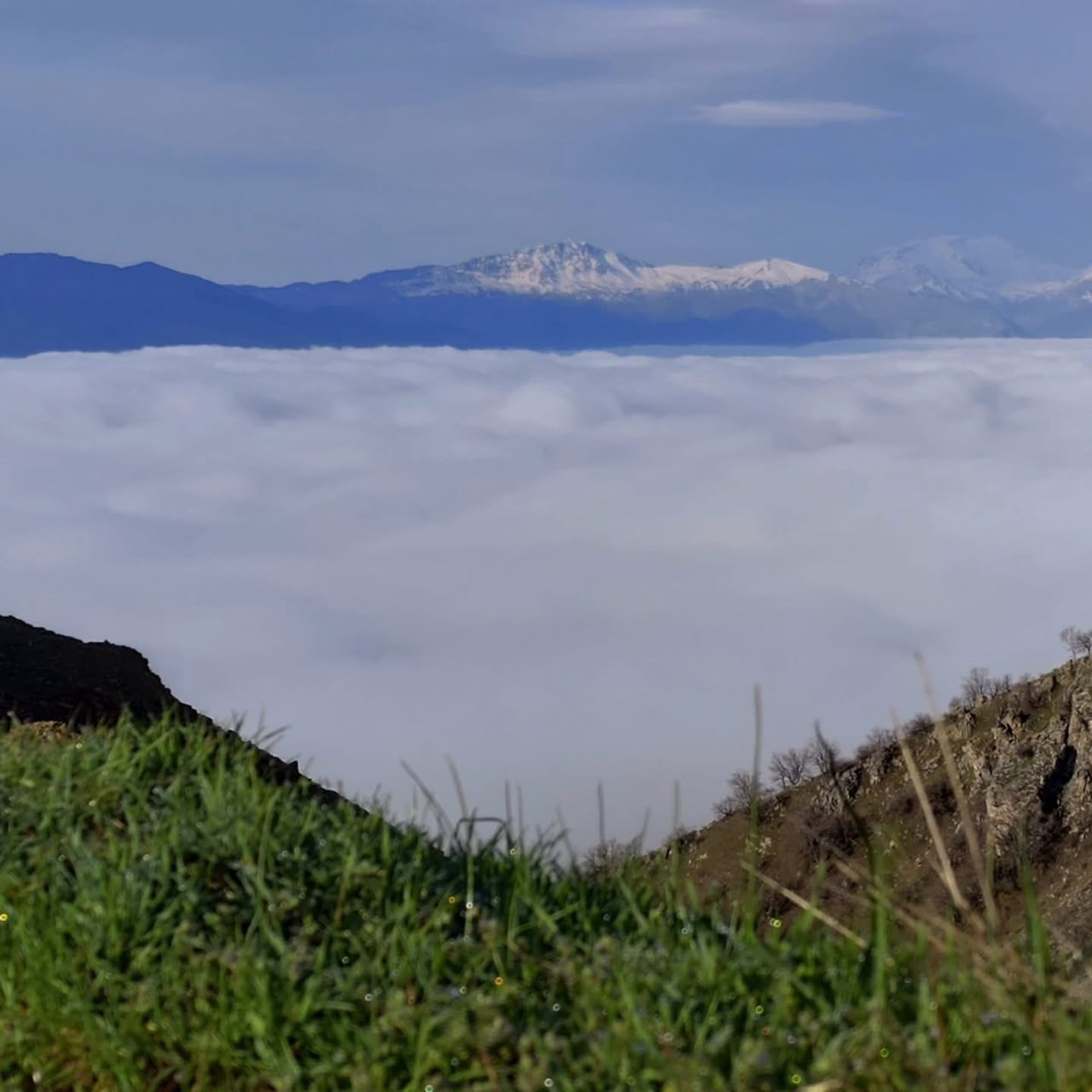 DİYARBAKIR’IN ÇÜNGÜŞ İLÇESİ ELYOS MAHALLESİ'NDE OLUŞAN SİS, ORTAYA SEYRİNE DOYUMSUZ MANZARA...