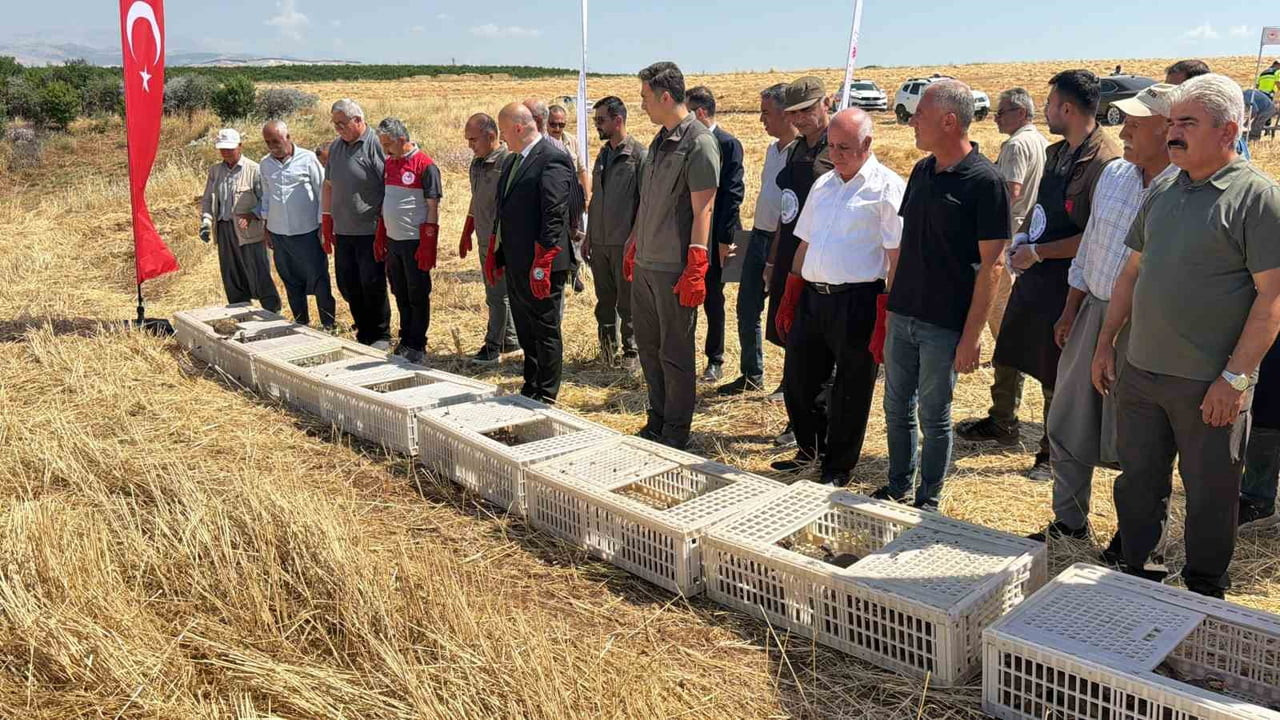 DOĞA KORUMA MİLLİ PARKLAR ADIYAMAN MÜDÜRLÜĞÜ TARAFINDAN EKOLOJİK DENGEYİ SAĞLAMASI İÇİN DOĞAYA BİN...