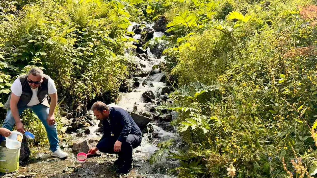 DOĞA KORUMA VE MİLLİ PARKLAR BÖLGE MÜDÜRLÜĞÜ EKİPLERİ TARAFINDAN UZUNGÖL ÇEVRESİNDEKİ FARKLI...