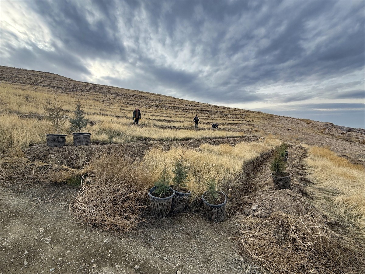 Dünya Hava Kalitesi Endeksi'ne göre 1 Aralık'ta Türkiye'nin en kirli havasına sahip ili Iğdır'da...