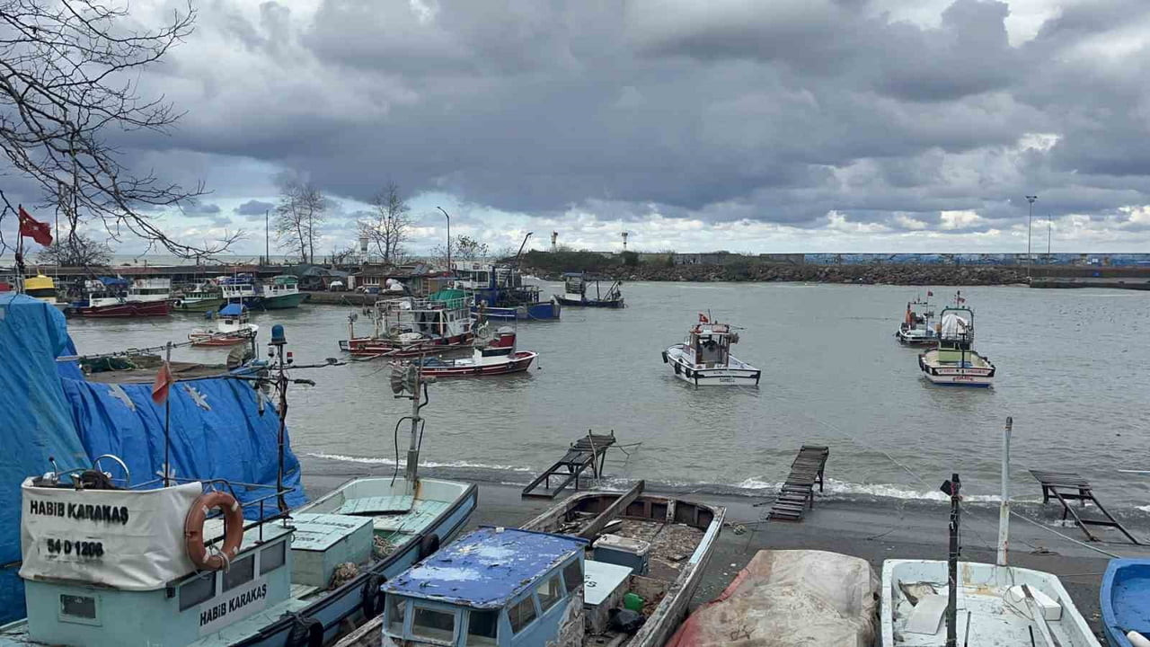 DÜZCE İL TARIM VE ORMAN MÜDÜRLÜĞÜ DENİZLERDE SU ÜRÜNLERİ AV YASAĞI 15 NİSAN 2026 TARİHİNDE...