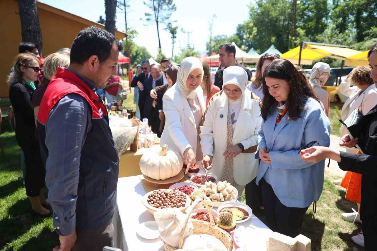 DÜZCE İL TARIM VE ORMAN MÜDÜRLÜĞÜ İLE BİRLEŞMİŞ MİLLETLER GIDA VE TARIM ÖRGÜTÜ (FAO) İŞ BİRLİĞİNDE...