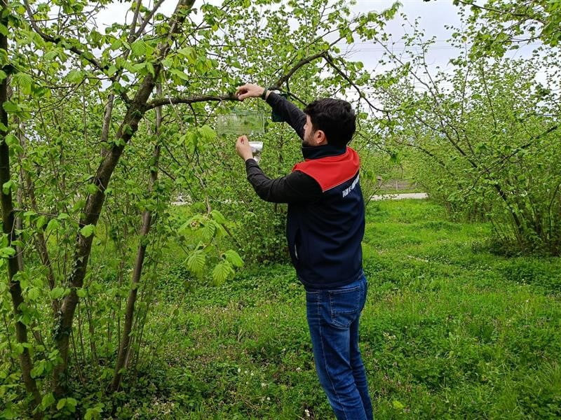 DÜZCE İL TARIM VE ORMAN MÜDÜRLÜĞÜ TARAFINDAN, 2026 YILI ÜRETİM SEZONU ÖNCESİNDE FINDIK...
