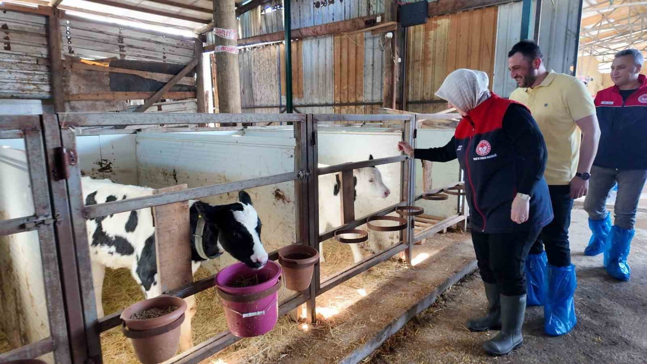 DÜZCE İL TARIM VE ORMAN MÜDÜRLÜĞÜ TARAFINDAN HAYVAN SAĞLIĞININ KORUNMASI, GÜVENİLİR GIDA...