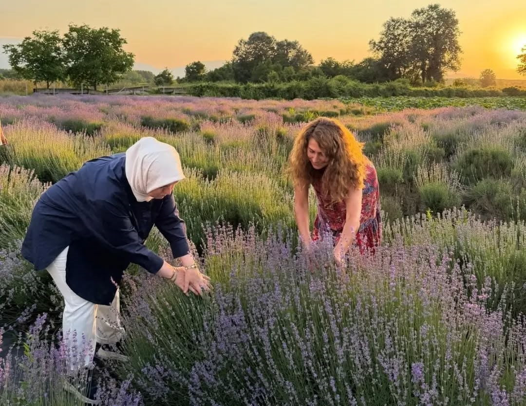 DÜZCE MERKEZE BAĞLI KONAKLI KÖYÜ'NDE, 2020 YILINDA 4 DEKAR ALANA 8 BİN ADET LAVANTA DİKEREK...