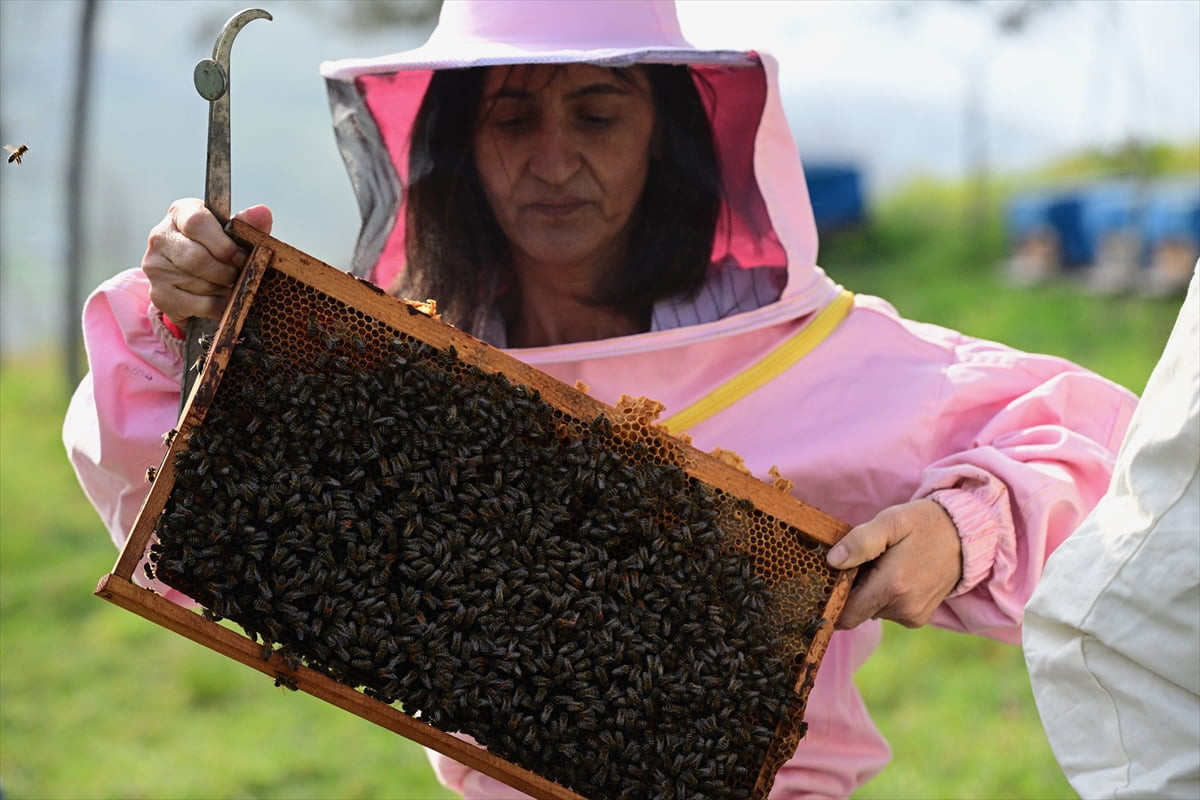 Düzce Üniversitesi (DÜ) Arıcılık Araştırma Geliştirme ve Uygulama Merkezi (DAGEM) Müdürü Prof. Dr....