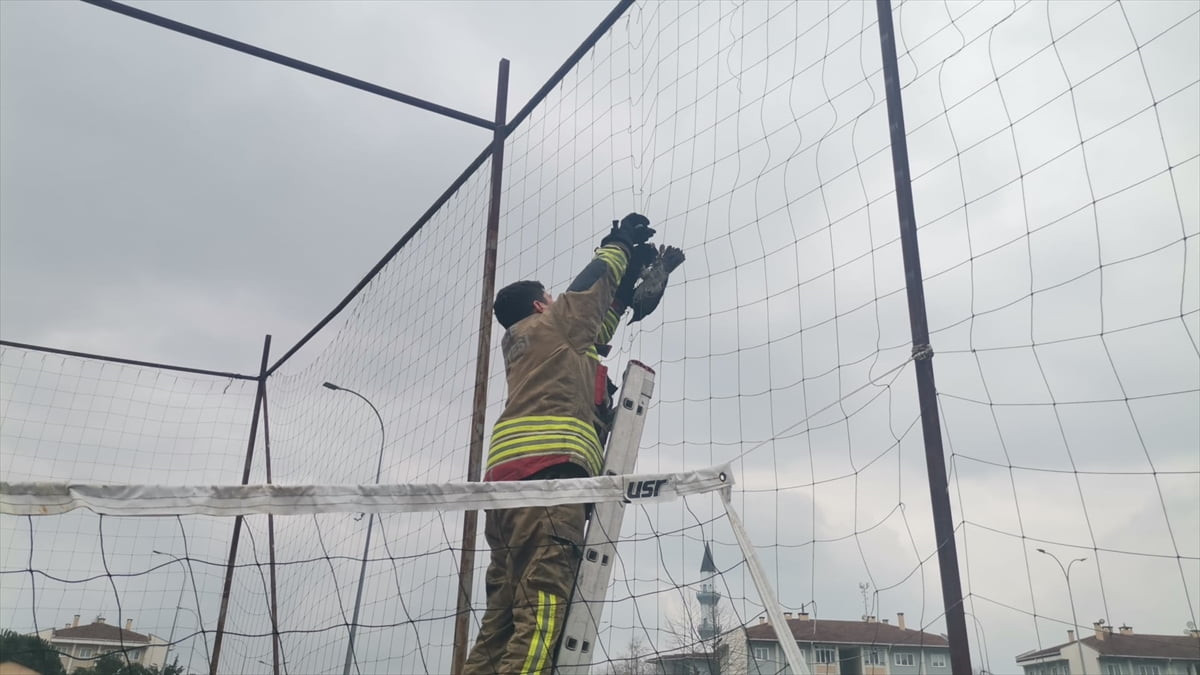 Düzce'de basketbol sahasında fileye dolanan karga, itfaiye ekiplerince kurtarıldı.