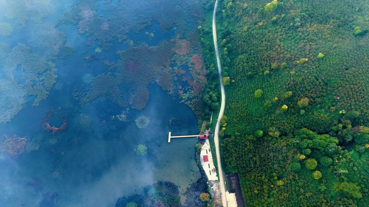 Düzce'de Efteni Gölü Kuş Cenneti ve havzasında yer alan Kültür Park'ta sonbahar renklerine sis...