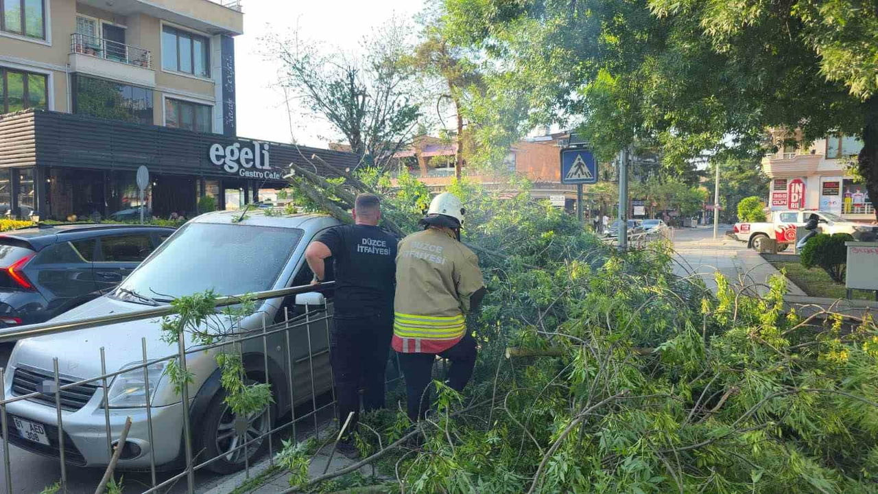 DÜZCE'DE HAFİF TİCARİ ARACIN ÜZERİNE AĞAÇ DEVRİLDİ. HATALI PARK EDİLDİĞİ BELİRLENEN ARACIN...