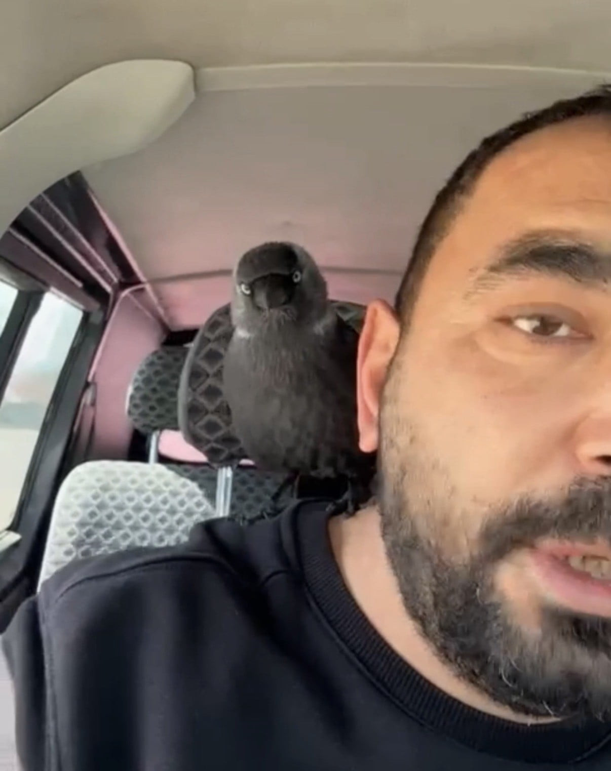 DÜZCE'DE SEYİR HALİNDEKİ OTOMOBİLİN SİLECEĞİNE, ARDINDAN DA AÇIK CAMDAN İÇERİ SÜZÜLEREK SÜRÜCÜNÜN...