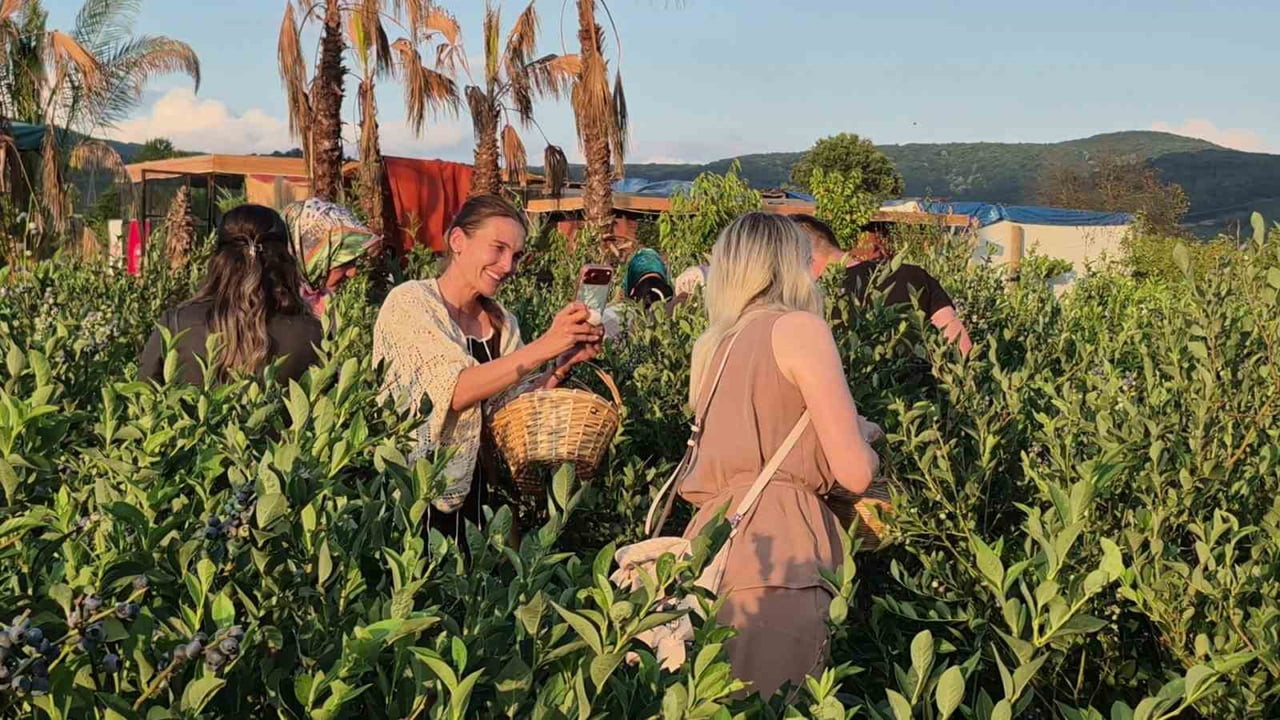 DÜZCE'DE ÜNİVERSİTE ÖĞRENCİSİNİN FINDIĞA ALTERNATİF ÜRÜN ARAYIŞIYLA KURDUĞU YABAN MERSİNİ BAHÇESİ...