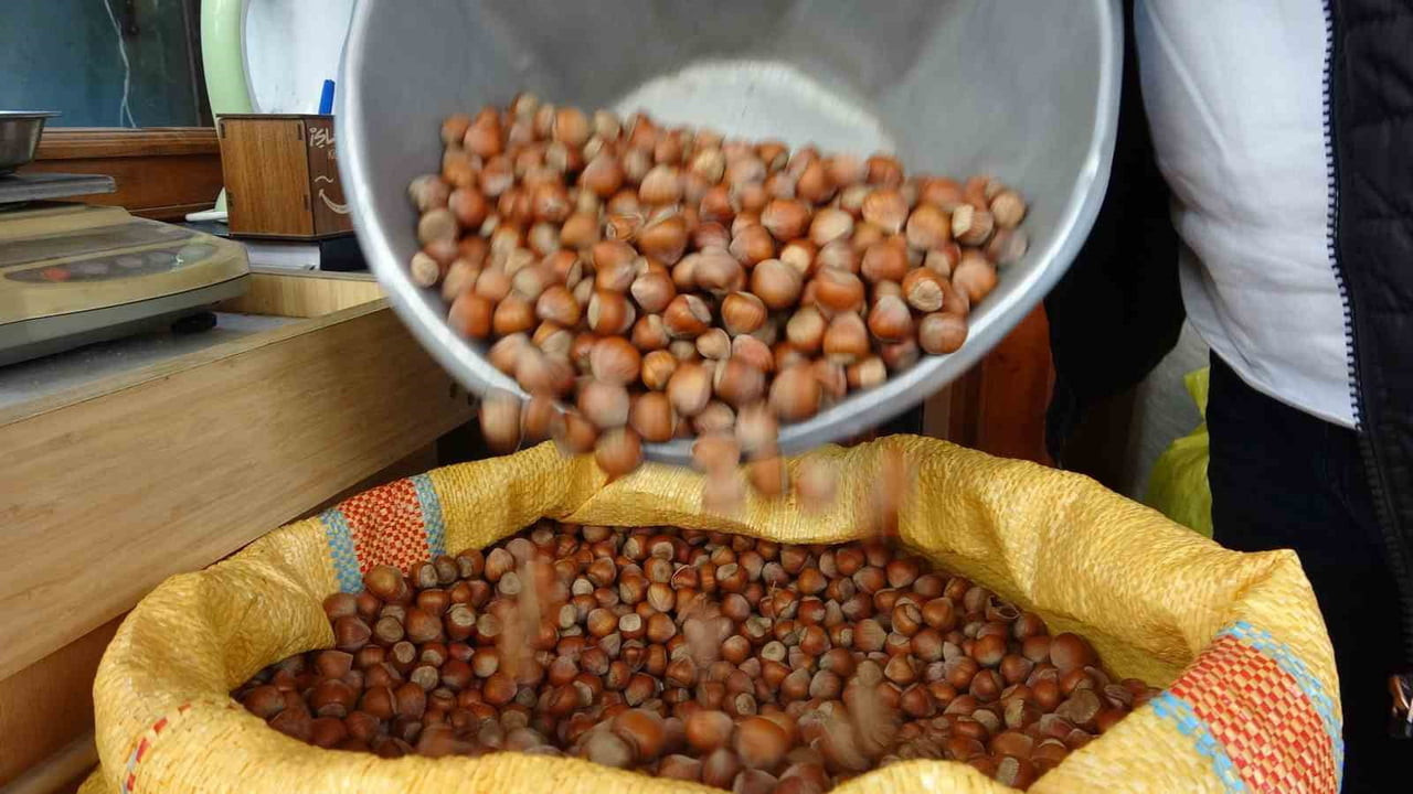 DÜZCE'DEN AVRUPA BİRLİĞİNE ÜYE ÜLKELERE DÖRT AYDA 4 BİN 452,5 TON İÇ FINDIK İHRAÇ...