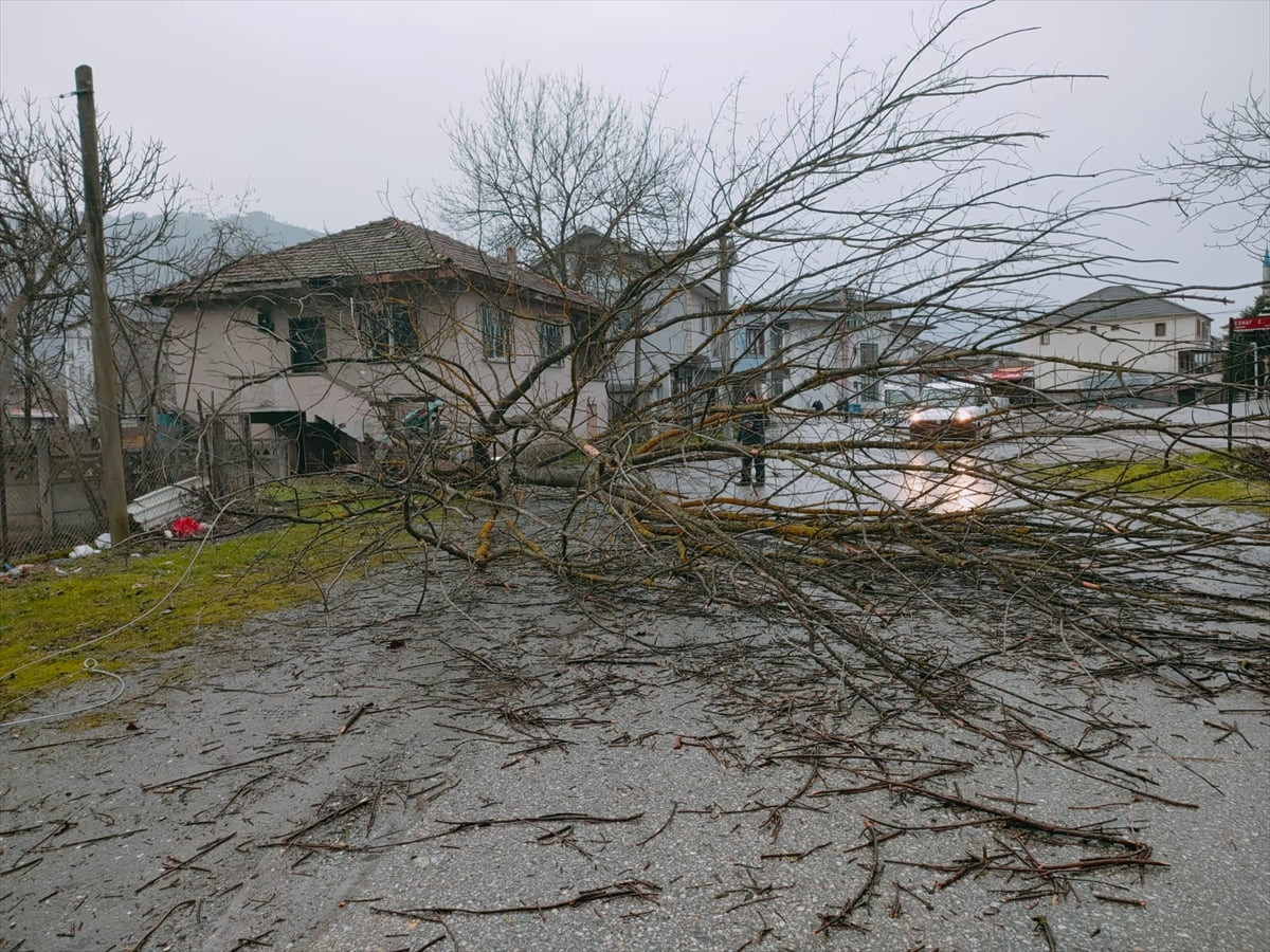 Düzce'nin Gölyaka ilçesinde şşiddetli rüzgar nedeniyle bazı binaların çatısı uçtu, ağaçlar...