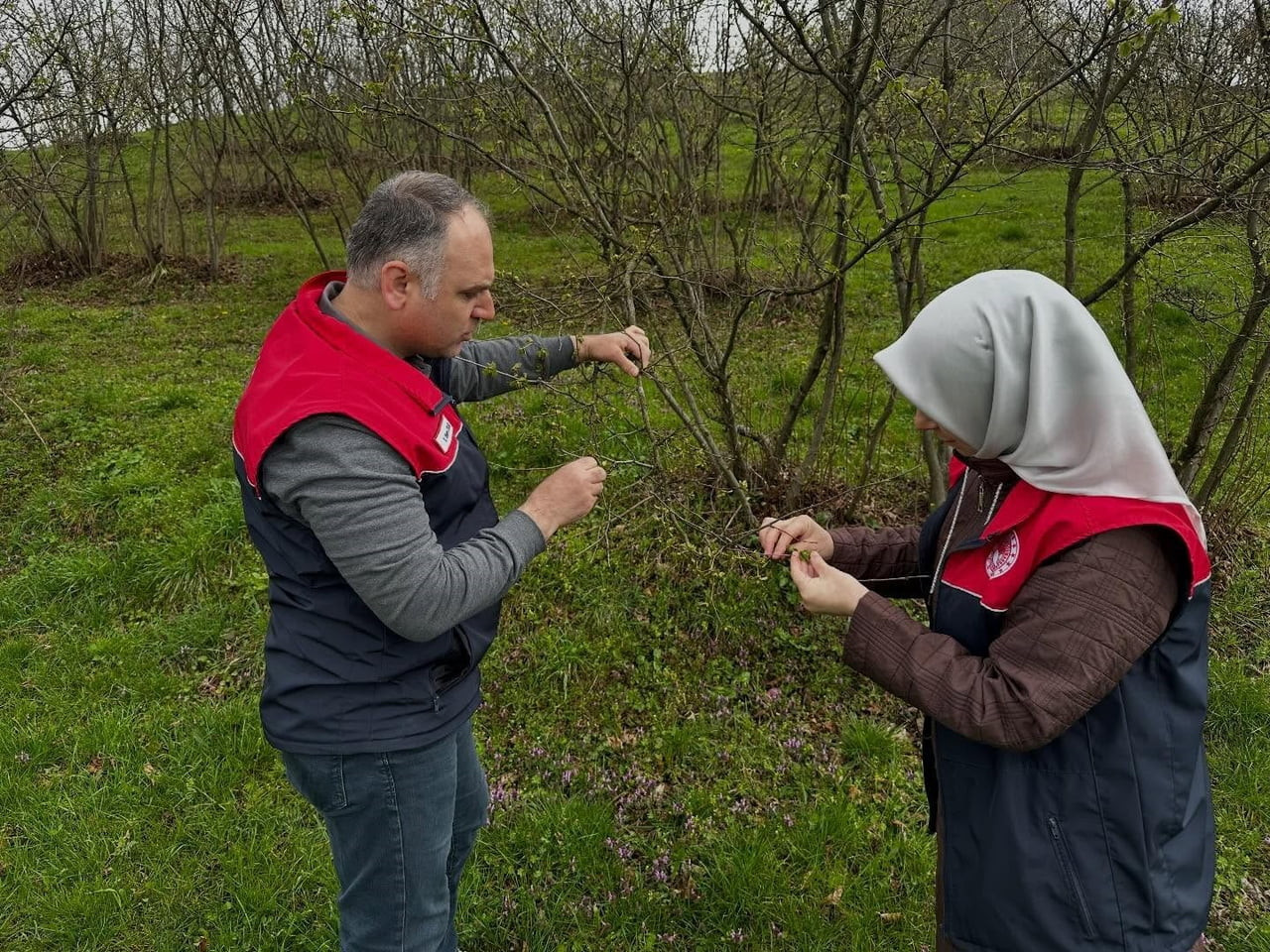 DÜZCE’DE 2026 YILININ İLK ÜÇ AYINDA YAĞIŞLARIN MEVSİM NORMALLERİNİN ÜZERİNDE SEYRETMESİ VE NİSPİ...