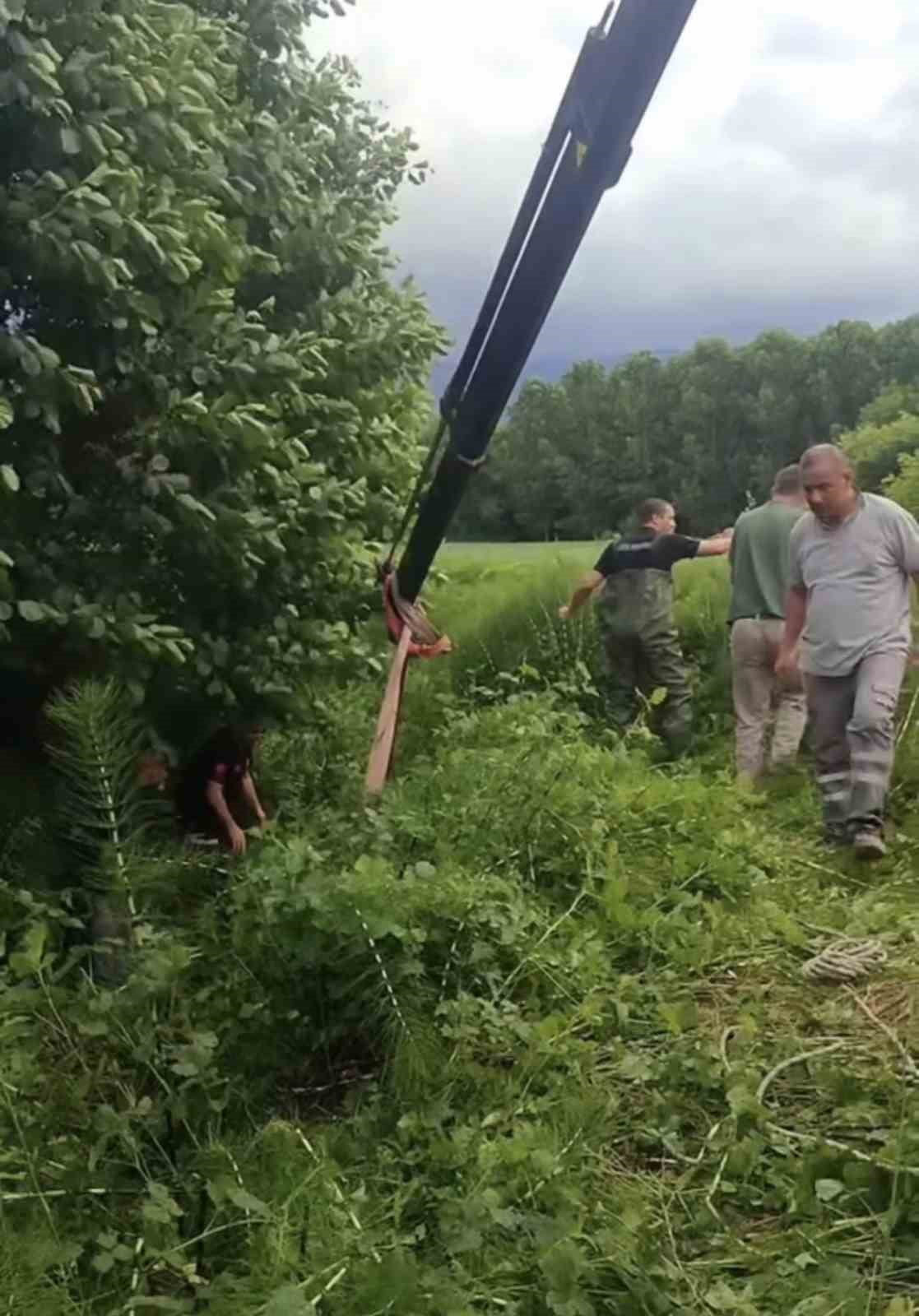 DÜZCE’NİN BALLICA KÖYÜNDE DERE YATAĞINA DÜŞEREK MAHSUR KALAN İNEK, VİNÇ YARDIMIYLA BULUNDUĞU...