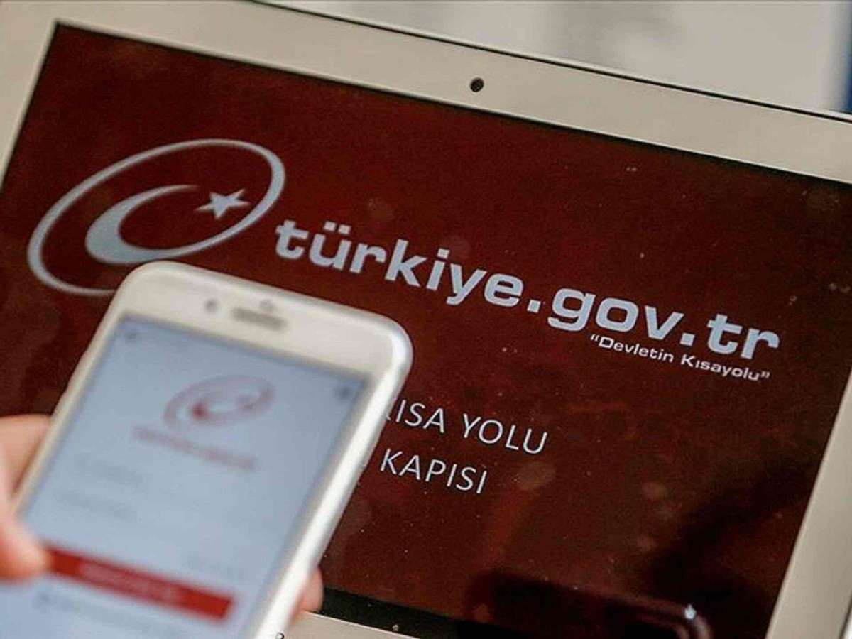 E devlet