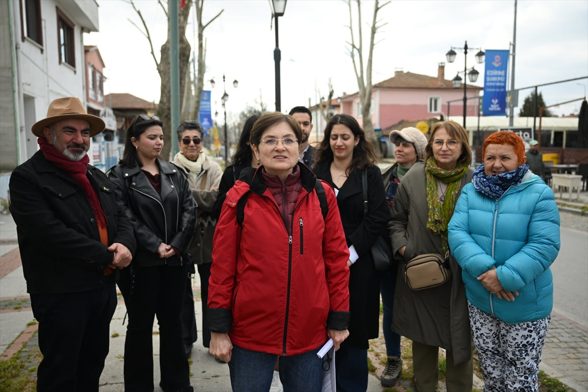 Edirne Çevre Gönüllüleri Derneği üyeleri, Edirne Belediyesinin ağaç budama yöntemine tepki...