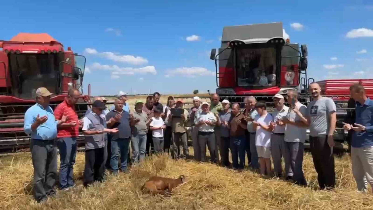EDİRNE'DE BUĞDAY HASADI DUALARLA BAŞLADI